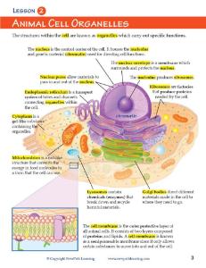 Guide, cells W online lesson