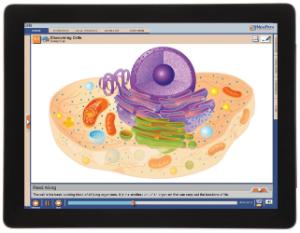 Guide, cells W online lesson