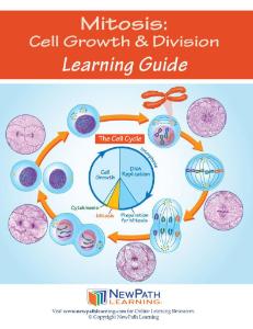 Guide, mitosis W online lesson