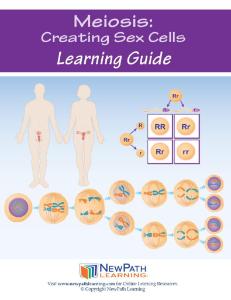 Guide, meiosis W online lesson