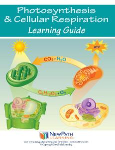 Guide, photosynthesis W online lesson