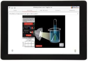 Guide, photosynthesis W online lesson