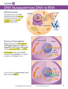 Guide, genes DNA W online lesson