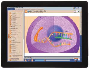 Guide, genes DNA W online lesson