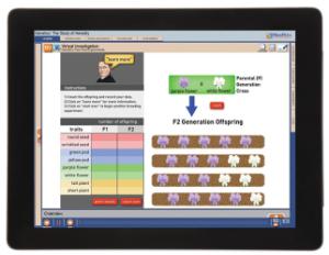 Guide, genetics W online lesson