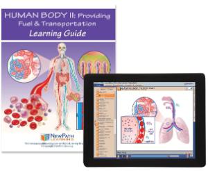 Guide, fuel body W online lesson