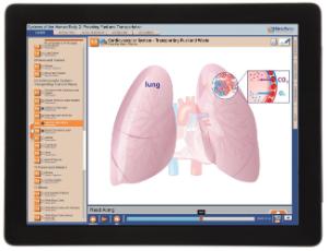 Guide, fuel body W online lesson