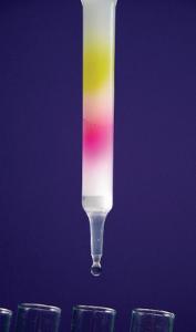 Size Exclusion Chromatography Activity Kit