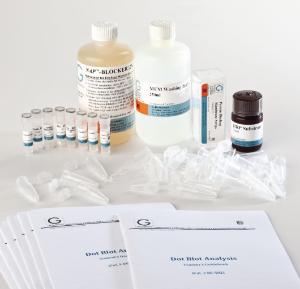 Dot Blot Analysis Activity Kit