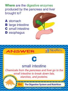 Game digestive system LC-GR 6-9