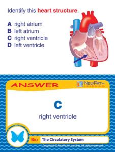 Game circulatory system LC-GR 6-9