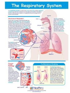 Game respiratory system LC-GR 6-9