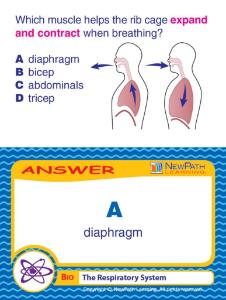 Game respiratory system LC-GR 6-9