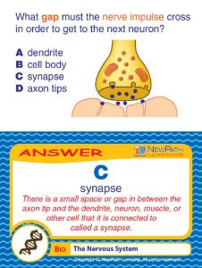 Game nervous system LC-GR 6-9