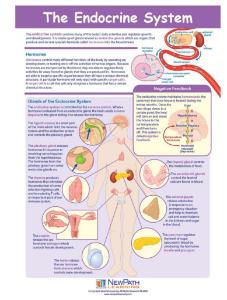 Game endocrine system LC-GR 6-9