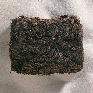 Ward's® Coal (Peat)