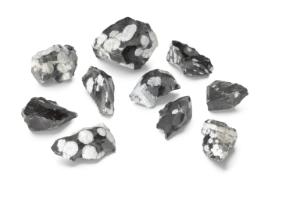 Ward's® snowflake obsidian (Cristobalite)