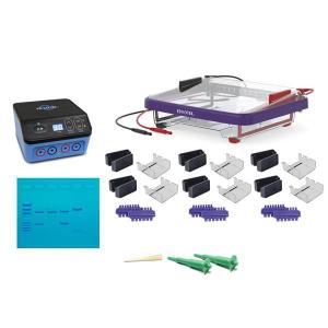 Classroom DNA electrophoresis LabStation