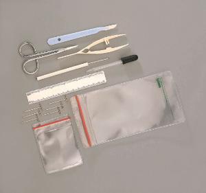 Ward's® Economy Dissecting Set