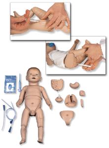 3B Scientific® Deluxe Training Baby