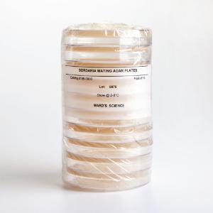 Ward's® Prepared Sordaria Mating Agar