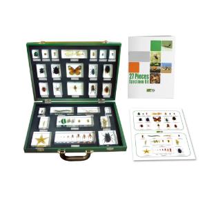 Invertebrates 27 Piece Embedment Set