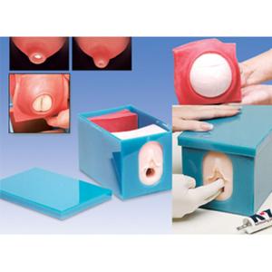 Fetal Monitoring And Labor Model Set