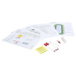 Engineering a medicine-single, kit