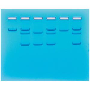 Gene detection for sickle cell