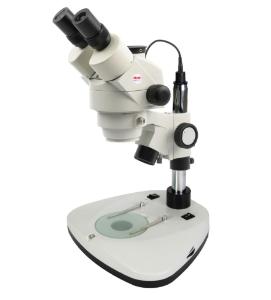 Zoom stereo microscope