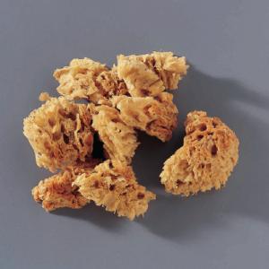 Commercial Sponge, Dry