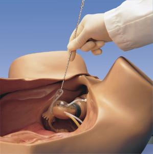 Gaumard® Gynecologic Simulator