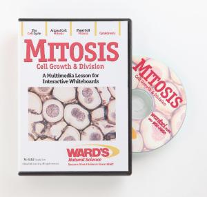 Interactive Whiteboard Science Lesson CD: Mitosis