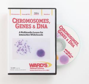 Interactive Whiteboard Science Lessons: Chromosomes, Genes And Dna