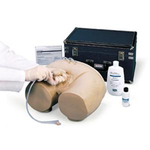 Life/form® Male Bladder Catheterization Simulator