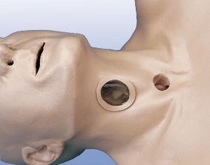 Life/form® Tracheotomy Care Simulator