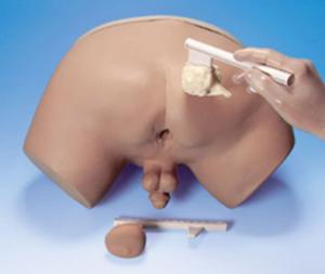 Life/form® Prostate Exam Simulator