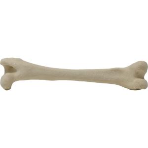 Femur left