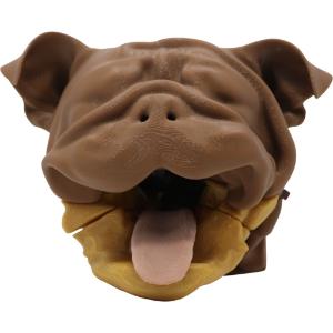 Canine brachycephalic intubation