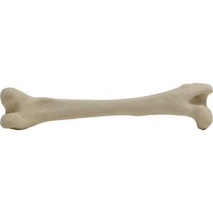 Femur right