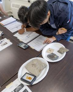 Science olympiad fossils kit