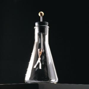 Flask Form Electroscope