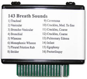 Heart And Breath Sounds Simulator