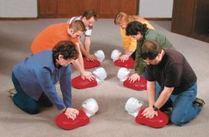 Basic Buddy® Budget CPR Torsos