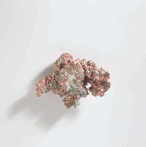 Ward's® Copper