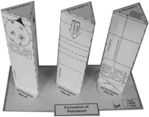 Petroleum formation