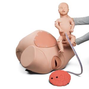 3B Scientific® Birthing Simulators