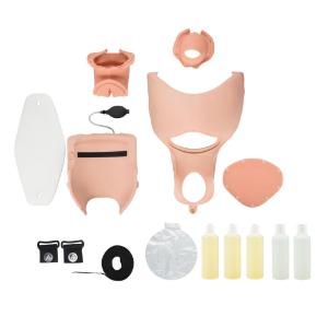 3B Scientific® Birthing Simulators