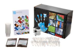 Dental cavity potential lab activity kit