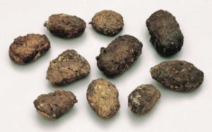 Ward's owl pellets various regions